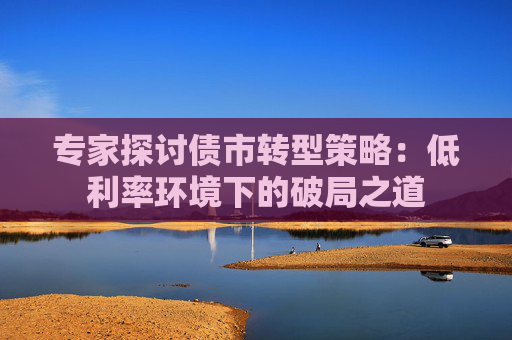 专家探讨债市转型策略：低利率环境下的破局之道