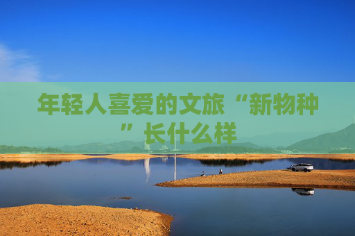 年轻人喜爱的文旅“新物种”长什么样