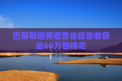 巴基斯坦旁遮普省报告收获逾60万包棉花