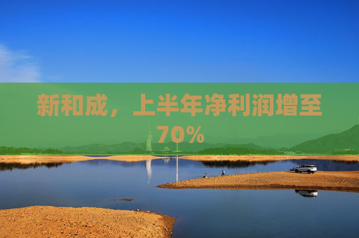 新和成，上半年净利润增至70%