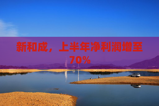 新和成，上半年净利润增至70%