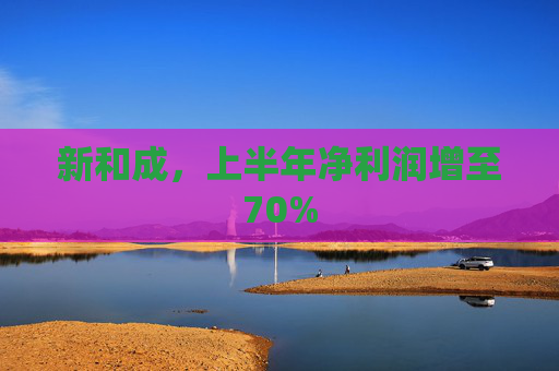 新和成，上半年净利润增至70%