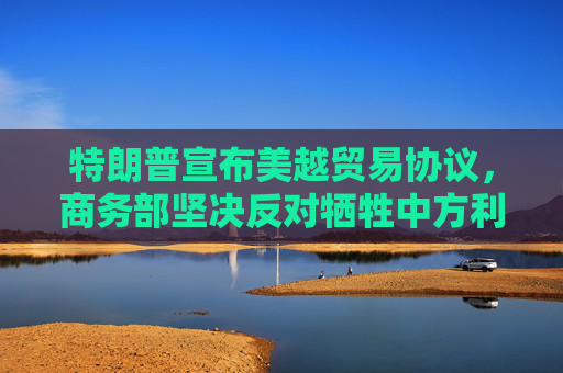 特朗普宣布美越贸易协议，商务部坚决反对牺牲中方利益