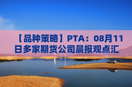 【品种策略】PTA：08月11日多家期货公司晨报观点汇总