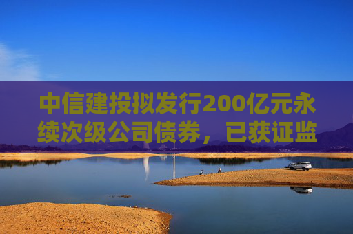 中信建投拟发行200亿元永续次级公司债券，已获证监会批复