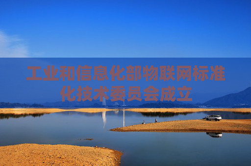 工业和信息化部物联网标准化技术委员会成立