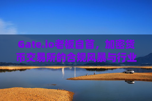 Gate.io老板自首，加密货币交易所的合规风暴与行业反思 gate.io老板自首