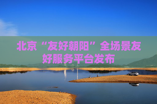 北京“友好朝阳”全场景友好服务平台发布