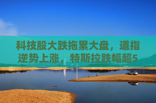 科技股大跌拖累大盘，道指逆势上涨，特斯拉跌幅超5%
