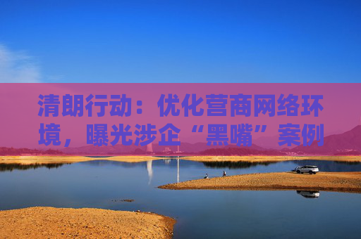 清朗行动：优化营商网络环境，曝光涉企“黑嘴”案例