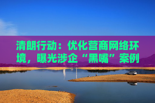 清朗行动：优化营商网络环境，曝光涉企“黑嘴”案例