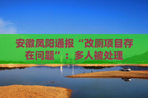 安徽凤阳通报“改厕项目存在问题”：多人被处理