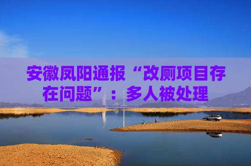 安徽凤阳通报“改厕项目存在问题”：多人被处理