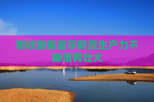 税收数据显示新质生产力不断培育壮大