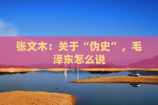 张文木：关于“伪史”，毛泽东怎么说