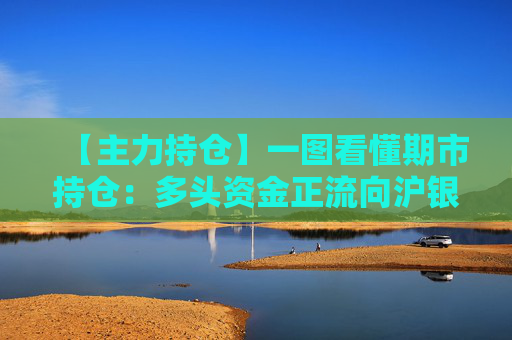 【主力持仓】一图看懂期市持仓：多头资金正流向沪银、低硫燃油、沪锌等品种