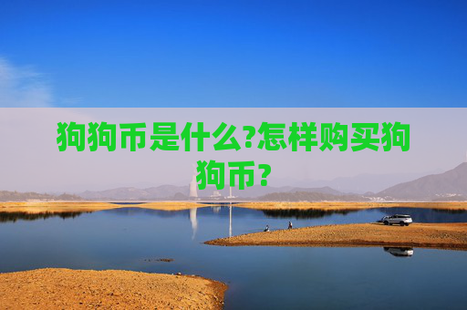 狗狗币是什么?怎样购买狗狗币?