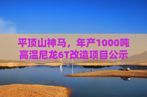 平顶山神马，年产1000吨高温尼龙6T改造项目公示