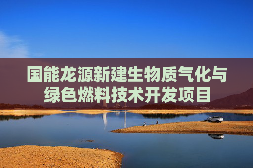 国能龙源新建生物质气化与绿色燃料技术开发项目