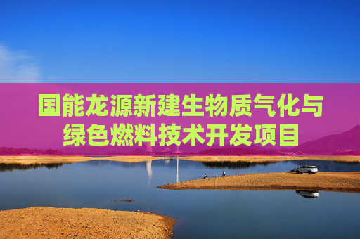 国能龙源新建生物质气化与绿色燃料技术开发项目