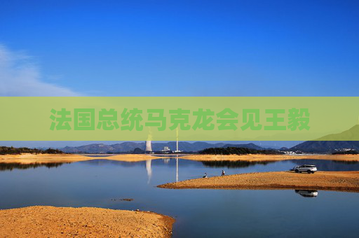 法国总统马克龙会见王毅