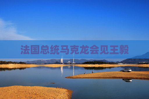 法国总统马克龙会见王毅