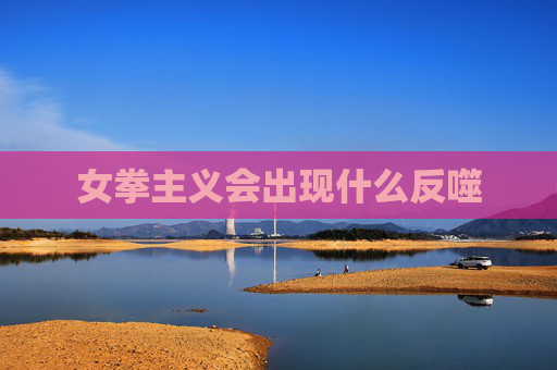 女拳主义会出现什么反噬