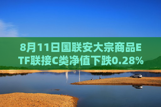 8月11日国联安大宗商品ETF联接C类净值下跌0.28%