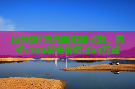设计院1万元起拍应收款，历经1100轮竞价后以54万成交
