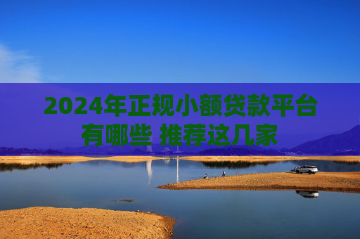 2024年正规小额贷款平台有哪些 推荐这几家