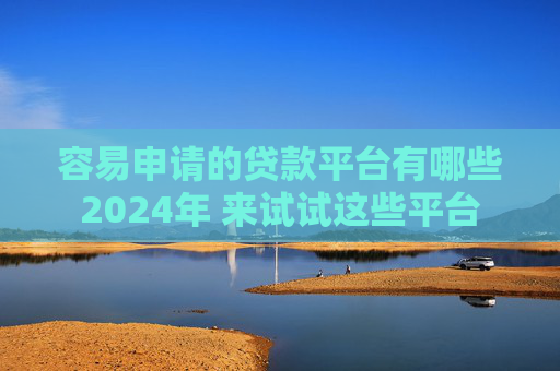 容易申请的贷款平台有哪些2024年 来试试这些平台