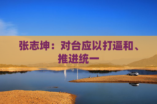 张志坤：对台应以打逼和、推进统一