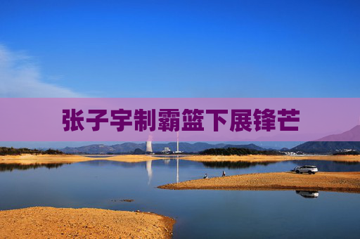 张子宇制霸篮下展锋芒