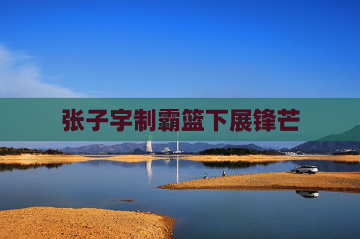 张子宇制霸篮下展锋芒