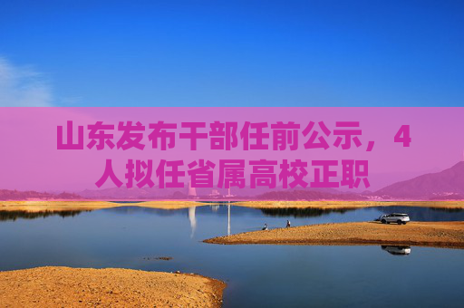 山东发布干部任前公示，4人拟任省属高校正职
