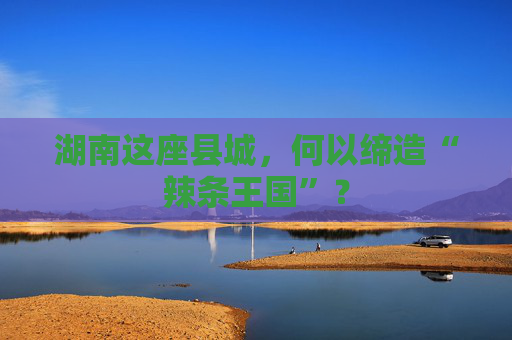 湖南这座县城，何以缔造“辣条王国”？