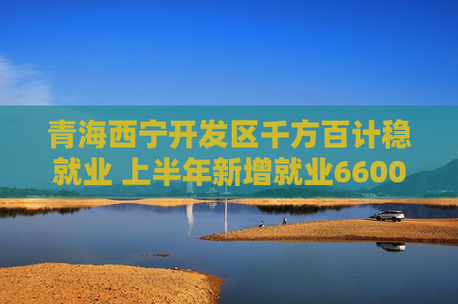 青海西宁开发区千方百计稳就业 上半年新增就业6600余人