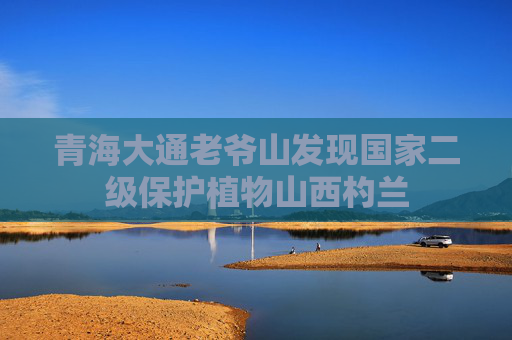 青海大通老爷山发现国家二级保护植物山西杓兰