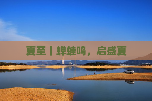 夏至丨蝉蛙鸣，启盛夏