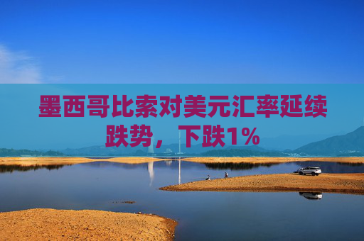 墨西哥比索对美元汇率延续跌势，下跌1%