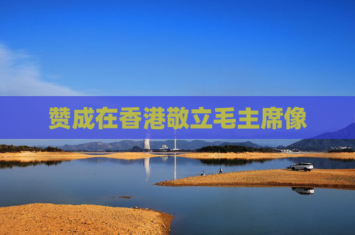 赞成在香港敬立毛主席像