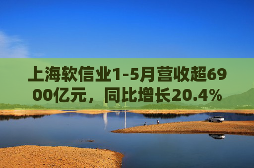 上海软信业1-5月营收超6900亿元，同比增长20.4%