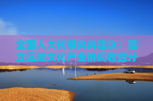 全国人大代表冉冉建议：建立区域文化产业协同收益分享和利益补偿机制