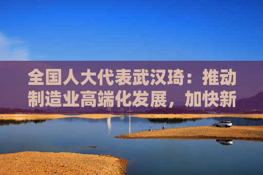 全国人大代表武汉琦：推动制造业高端化发展，加快新型能源体系建设
