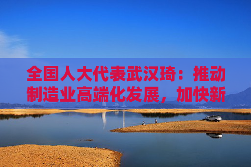 全国人大代表武汉琦：推动制造业高端化发展，加快新型能源体系建设