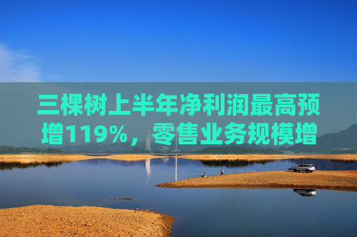 三棵树上半年净利润最高预增119%，零售业务规模增长