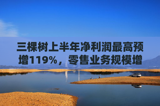 三棵树上半年净利润最高预增119%，零售业务规模增长
