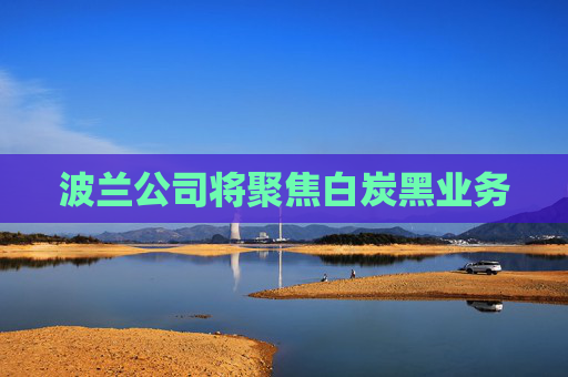 波兰公司将聚焦白炭黑业务