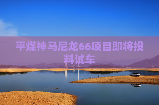 平煤神马尼龙66项目即将投料试车