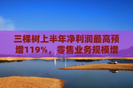 三棵树上半年净利润最高预增119%，零售业务规模增长
